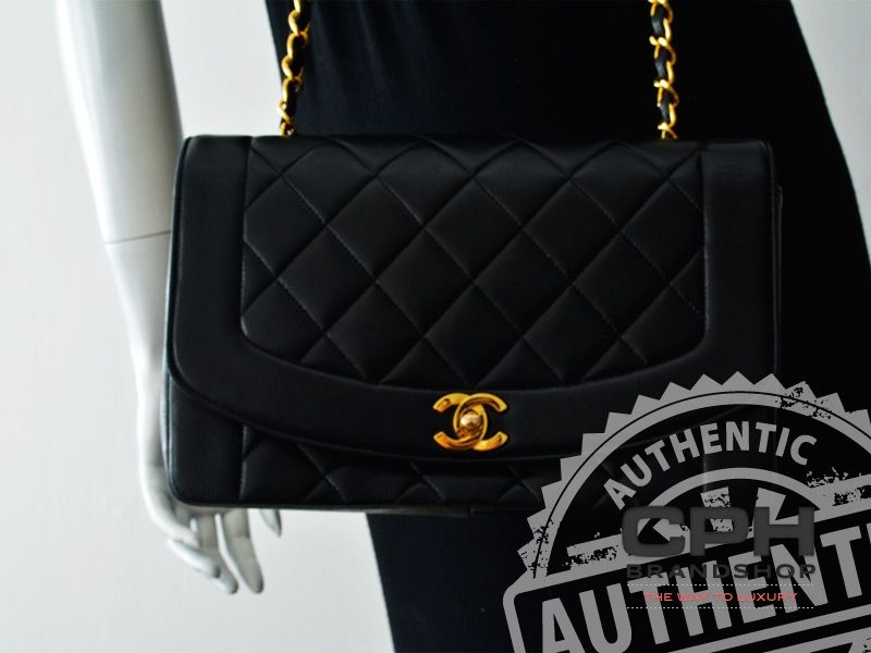 Chanel Flap Bag-5743