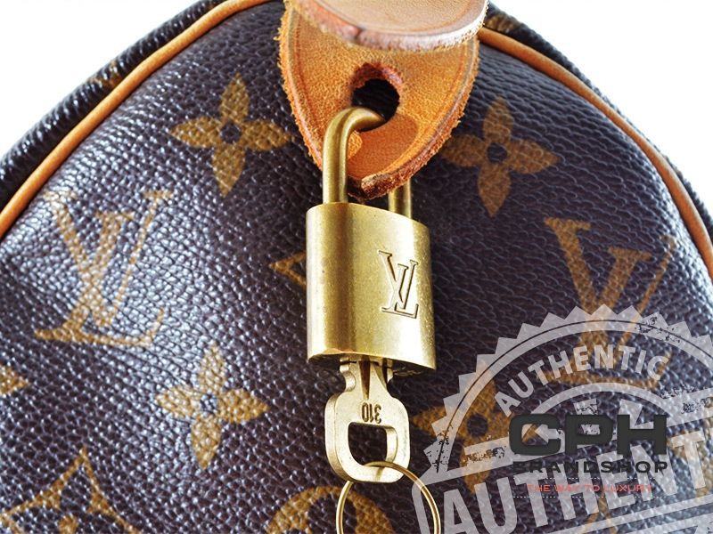 Louis Vuitton Speedy 25-6485